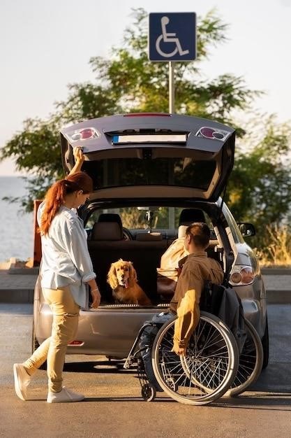 drive cruiser 3 wheelchair user manual